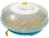 Clocitoare pui cu intoarcere automata – Alege modelul potrivit