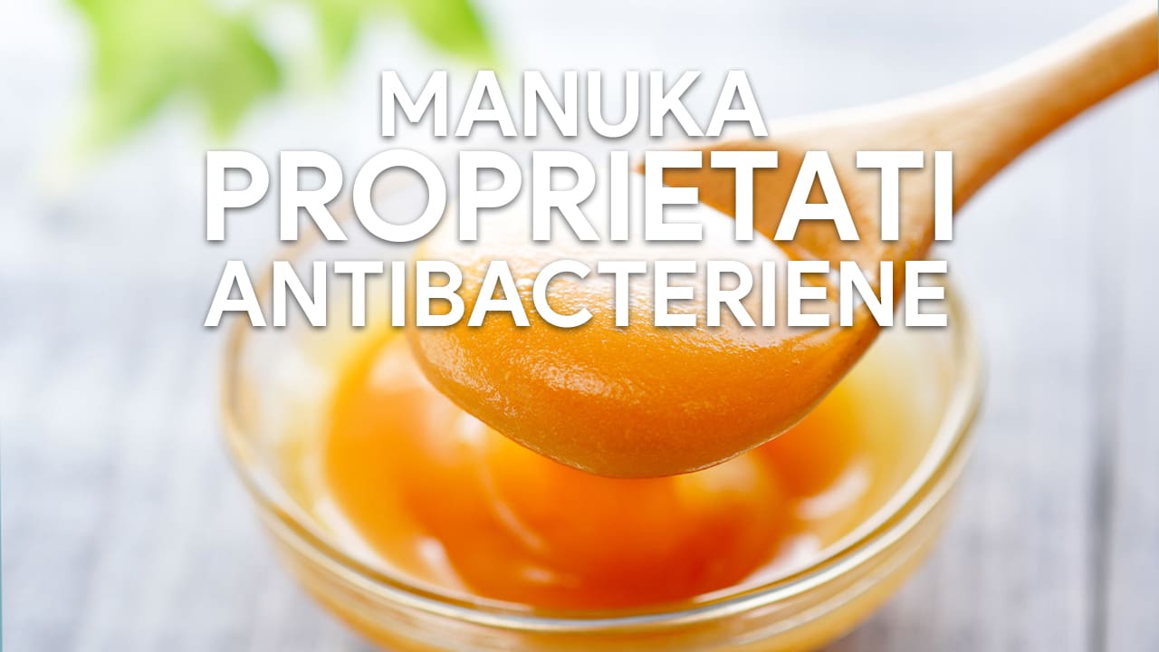 Manuka Proprietati Antibacteriene Manuka Proprietati Antibacteriene