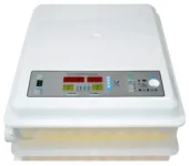 Clocitoare pui cu intoarcere automata – Alege modelul potrivit