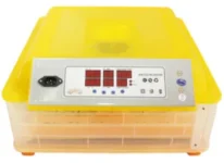 Clocitoare pui cu intoarcere automata – Alege modelul potrivit