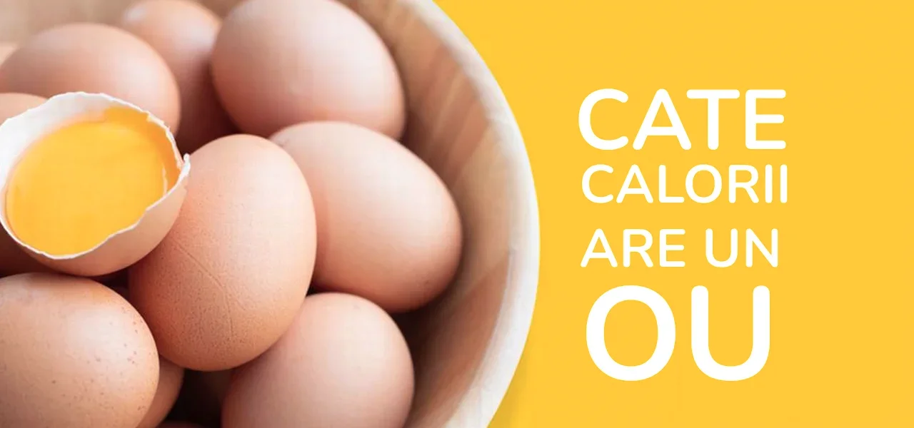 Top frigidere sillentioase